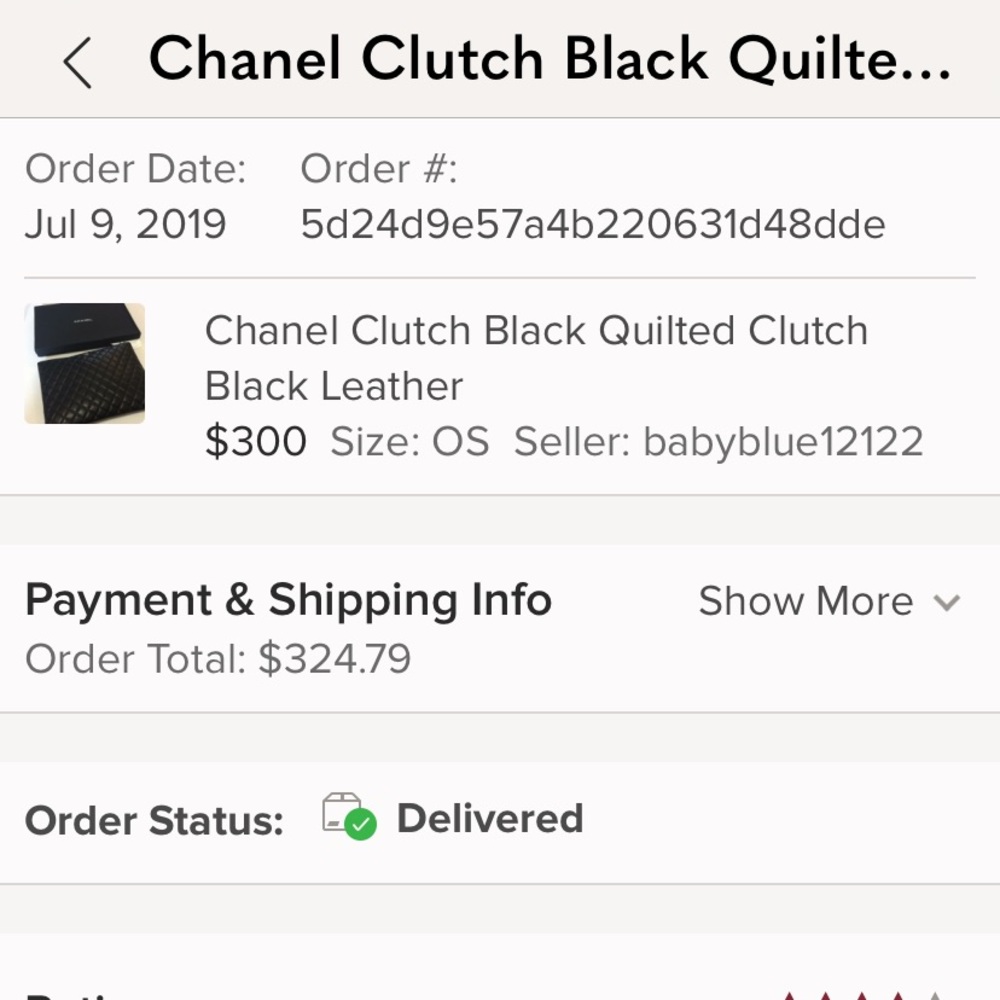 Chanel large pouch